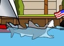 Miami Shark
