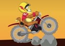 Super Bike Jungle