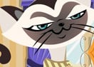 Cat Breeder