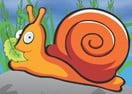 Hungry Snail