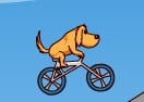 Cycling Challenges