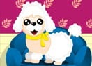 Dog Breeder