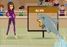 My Dolphin Show