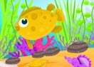Design Your Aquarium