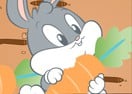 Carrot Match