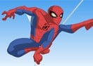 Spide Man World Journey