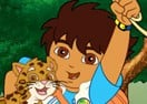 Diego Safari Memory