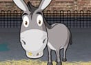 Donkey Gafoor