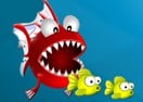 Fish Crunch