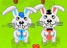 Short Legs Want Rabbits