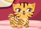 Mommy Cat