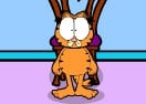 Garfield Crazy Rescue
