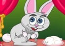 Bunny Cakes