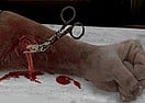 Dark Cut 2