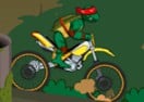 Ninja Turtle Bike