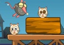 Funny Rats