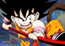 Dragon Ball Fierce Fighting
