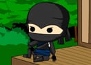 Ninja Delivery