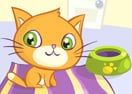 Kitty Slacking