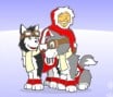 Husky Racers