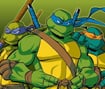 Ninja Turtle Double Dragons