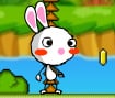 Rainbow Rabbit Adventure 2