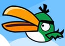 Couple Birds