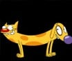 Cat Dog