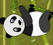 Panda Quest