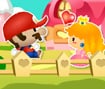 Mario and Princess Adventure