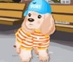 Arrume o Cãozinho
