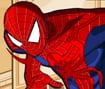 Spiderman Costume