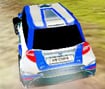 Rally Expedition 3D