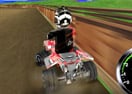 ATV Wild Adventure