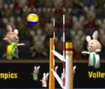 BunnyLimpics Volleyball