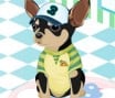 Arrume o Pinscher