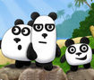 3 Pandas