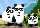 3 Pandas