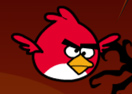 Bird Ninja