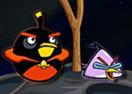 Rescue-Birds Space Edition
