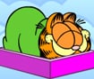 Garfield Sheep Shot