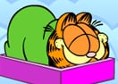 Garfield Sheep Shot