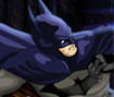 Batman Defend Gotham