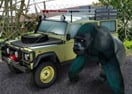 Zoo Parking