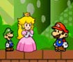 Mario Partner Adventure