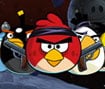 Naughty Angry Birds