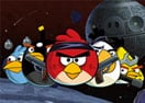 Naughty Angry Birds