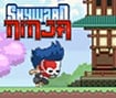 Skyward Ninja