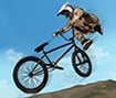 Pro BMX Tricks