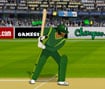 Kursi Cricket